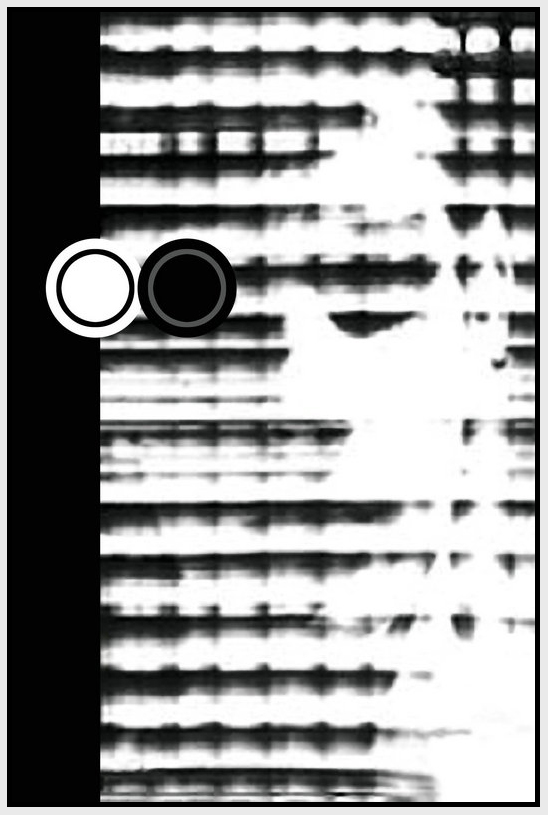 GQT-klstf323 (52)