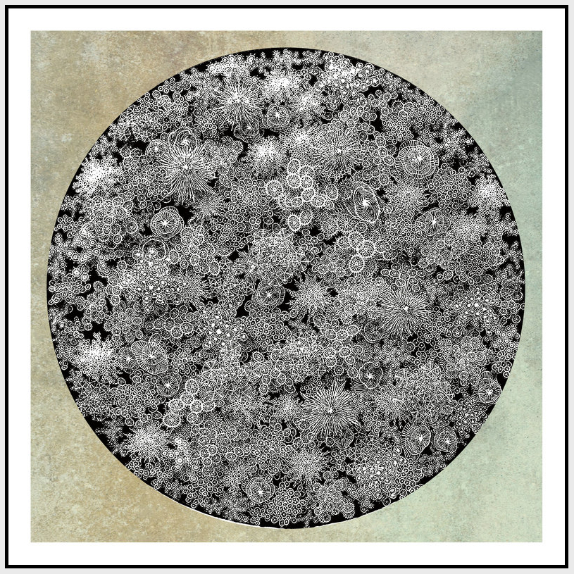 GQT-klstf323 (459)
