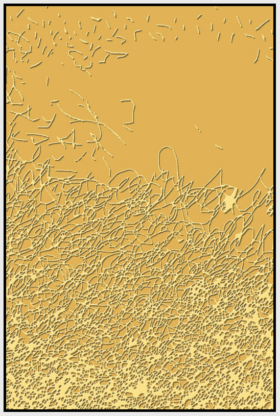 GQT-klstf323 (537)
